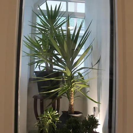 Real Maison d'hôtes Costa da Caparica